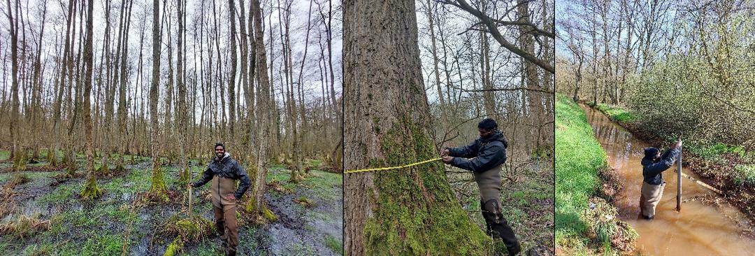 Onze stagiair Bhuvan in het Dal van de Grote Beek tijdens metingen van de bovengrondse koolstofvoorraad en het verzamelen van peilbuisgegevens.