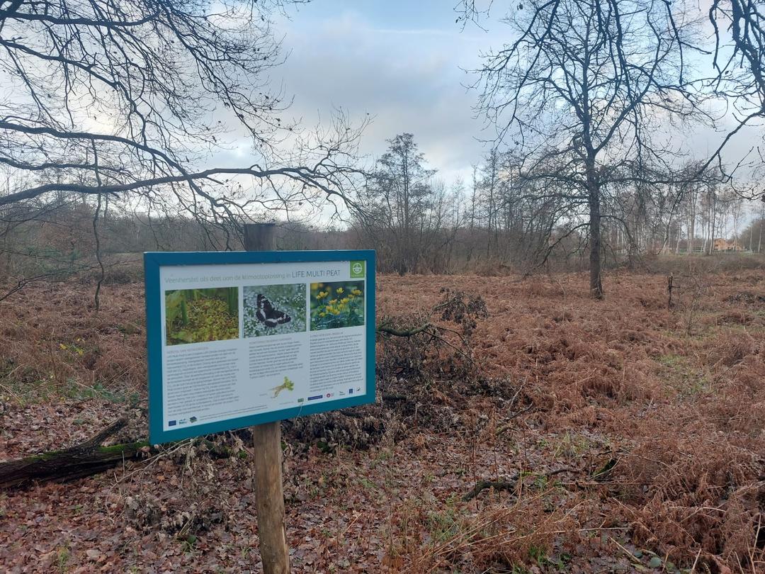 Infobord in de vallei van de grote beek