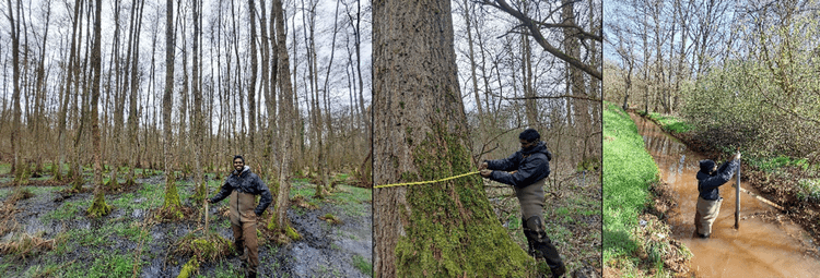 Onze stagiair Bhuvan in de Vallei van de Grote Beek tijdens metingen van de bovengrondse koolstofvoorraad en het verzamelen van peilbuisgegevens.