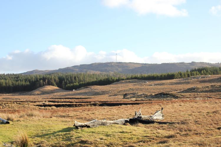 Irish countryside