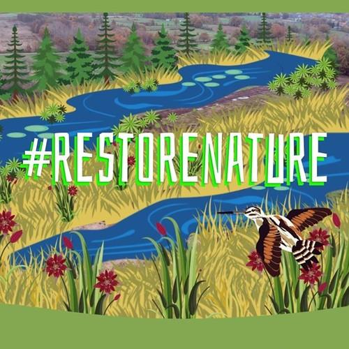 A Setback for Nature – Can the Nature Restoration Law Be Rescued?  